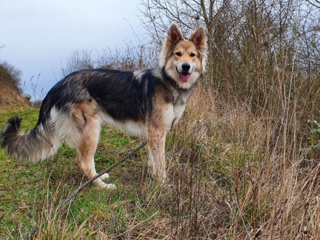 6E8A5B75-C98B-4ABA-8238-4C7D6A6C5C45 Ostéopathe Canin - Eure - Normandie