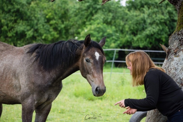B9B4A758-84FD-450D-A71C-3575447A5BEE Ostéopathe Equin - Eure - Normandie