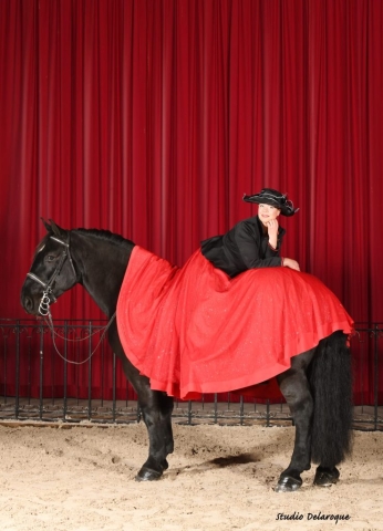 CE7C9BF7-95EA-47FC-9634-C1E88F084573 Ostéopathe Equin - Eure - Normandie