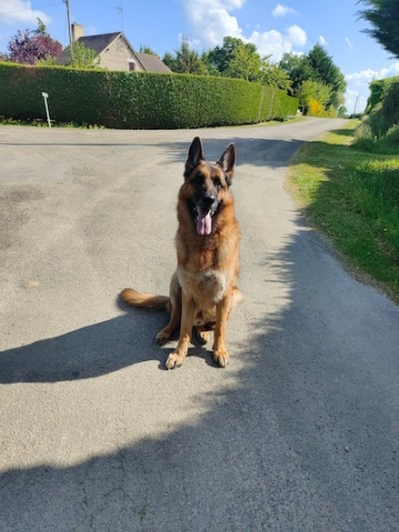 Ostéopathe Canin - Eure - Normandie