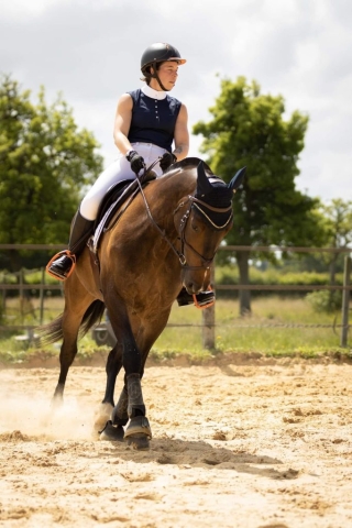 Ostéopathe Equin - Eure - Normandie