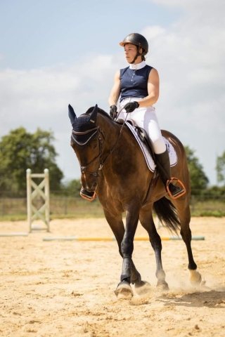 Ostéopathe Equin - Eure - Normandie